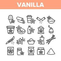 vanilj blomma krydda samling ikoner som vektor