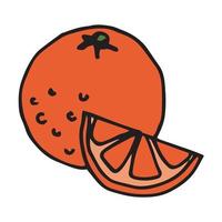 vektor illustration i doodle stil, kartong. orange. enkel ikon av apelsin och skiva apelsin, mogen mandarin. clipart fruktmat