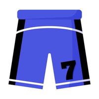 spelaruniform, blå shorts med nummer. 3x3 basket sportutrustning. sommarspel. vektor