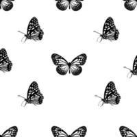 vackra svarta och vita fjäril sömlösa mönster vektor