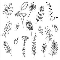 Vektorzeichnung im Doodle-Stil, süße Blumen und Pflanzen, handgezeichnete Blätter und Zweige. minimalistische, einfache Strichzeichnung. botanische Illustrationen vektor