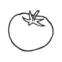 stock illustration Vektor-Doodle-Stil Doodle-Tomate. süße Handzeichnung Gartengemüse. isoliert auf weißem Hintergrund vektor