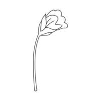 Strichzeichnungen Blumen und Pflanzen. ästhetische handgezeichnete designelemente vektor