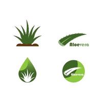 Aloevera-Logo. Vektor-Illustration-Template-Design vektor