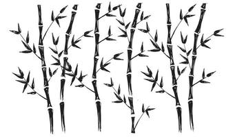 bambu träd. handritad stil. vektor illustrationer.