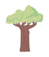 Baobab-Baum-Symbol vektor