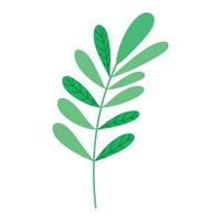 Blätter Natur-Symbol vektor