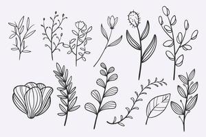 blomma lämnar doodle handritad vektor illustration set