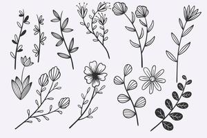 blomma lämnar doodle handritad vektor illustration set