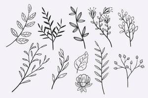 blomma lämnar doodle handritad vektor illustration set