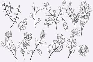 blomma lämnar doodle handritad vektor illustration set