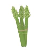 Spargel-Gemüse-Symbol vektor