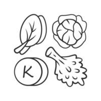 vitamin k linjär ikon. ätbara grönsaker och kål. hälsosam mat. mineraler, antioxidanter källa. rätt näring. tunn linje illustration. kontur symbol. vektor isolerade ritning. redigerbar linje