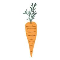 Karotten-Gemüse-Symbol vektor
