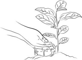 Strichzeichnungen im Doodle-Stil Hände des Bauern pflanzen und gießen Pflanzen in den Boden. mit den Händen die Pflanze gießen. Landwirtschaftsökologiekonzept. Vektor des Naturkonzepts.