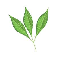 grüne Blattpflanzen vektor