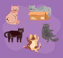 fem söta katter husdjur vektor