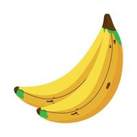 bananer färsk frukt vektor