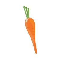 färsk morotgrönsak vektor
