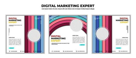 digital marknadsföring företag webinar sociala medier inlägg. vektor illustration och text