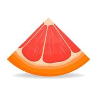 frische, helle, exotisch geschnittene Scheibe Grapefruit isoliert auf weißem Hintergrund. sommerfrüchte für einen gesunden lebensstil. Bio-Obst. Cartoon-Stil. Vektorillustration für jedes Design. vektor