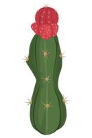 kaktus öken växt vektor