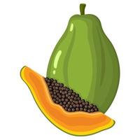 färska ljusa exotiska hela och skära skiva papaya frukt isolerad på vit bakgrund. sommarfrukter för en hälsosam livsstil. ekologisk frukt. tecknad stil. vektor illustration för någon design.