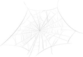 Spinnennetz-Halloween-Feiertagsdekoration. vektor