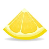 färska ljusa exotiska skär skiva citron frukt isolerad på vit bakgrund. sommarfrukter för en hälsosam livsstil. ekologisk frukt. tecknad stil. vektor illustration för någon design.