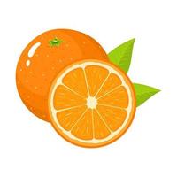 uppsättning av färsk hel och halv orange frukt med blad isolerad på vit bakgrund. mandarin. ekologisk frukt. tecknad stil. vektor illustration för någon design.