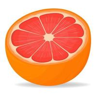 frische, helle, exotische halb geschnittene Grapefruit isoliert auf weißem Hintergrund. sommerfrüchte für einen gesunden lebensstil. Bio-Obst. Cartoon-Stil. Vektorillustration für jedes Design. vektor