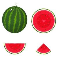satz von frischen ganzen, halben, geschnittenen scheibenwassermelonenfrüchten lokalisiert auf weißem hintergrund. sommerfrüchte für einen gesunden lebensstil. Bio-Obst. Cartoon-Stil. Vektorillustration für jedes Design.
