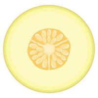 frische halbe Melonenfrucht isoliert auf weißem Hintergrund. Honigmelone. sommerfrüchte für einen gesunden lebensstil. Bio-Obst. Cartoon-Stil. Vektorillustration für jedes Design. vektor