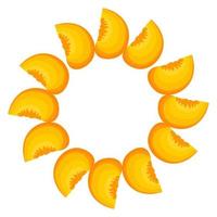 krans från ljus persika frukt med plats för text. tecknad ekologisk söt mat. sommarfrukter för en hälsosam livsstil. vektor illustration för någon design.