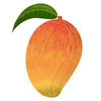 Cartoon detaillierte exotische ganze Mango isoliert auf weißem Hintergrund. sommerfrüchte für einen gesunden lebensstil. Bio-Obst. Cartoon-Stil. Vektorillustration für jedes Design. vektor