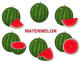 satz frischer zusammensetzungswassermelonenfrüchte lokalisiert auf weißem hintergrund. sommerfrüchte für einen gesunden lebensstil. Bio-Obst. Cartoon-Stil. Vektorillustration für jedes Design. vektor