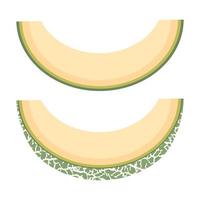 färsk skuren skiva melon frukt isolerad på vit bakgrund. cantaloupe melon. sommarfrukter för en hälsosam livsstil. ekologisk frukt. tecknad stil. vektor illustration för någon design.