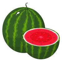 färsk hel och halv vattenmelon frukt isolerad på vit bakgrund. sommarfrukter för en hälsosam livsstil. ekologisk frukt. tecknad stil. vektor illustration för någon design.