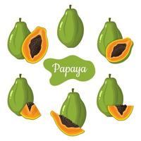 Satz frischer ganzer, halber, geschnittener Papaya-Früchte isoliert auf weißem Hintergrund. sommerfrüchte für einen gesunden lebensstil. Bio-Obst. Cartoon-Stil. Vektorillustration für jedes Design.