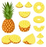 Satz frischer ganzer, halber, geschnittener Ananasfrüchte isoliert auf weißem Hintergrund. sommerfrüchte für einen gesunden lebensstil. Bio-Obst. Cartoon-Stil. Vektorillustration für jedes Design.
