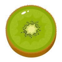 frische halbe Kiwi isoliert auf weißem Hintergrund. sommerfrüchte für einen gesunden lebensstil. Bio-Obst. Cartoon-Stil. Vektorillustration für jedes Design. vektor