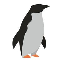 pingvin vilda djur vektor