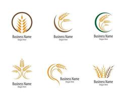 jordbruk vete och korn logotypuppsättning vektor