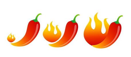 vektorillustration von chilipfeffer und flamme. Vektor-Set-Symbole von roten Chilischoten mit Feuer auf isoliertem Hintergrund. vektor