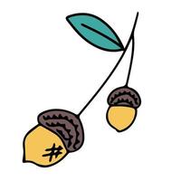 Eichenkegel im Doodle-Stil. hallo Herbst. Eichenfrüchte oder Samen. Design oder Aufkleber. isolierte Abbildung. Vektor