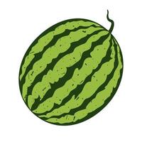 vektor vattenmelon. sommar frukt illustration isolerad på vit bakgrund