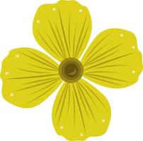 sundrop blomma vektorillustration för grafisk design och dekorativa element vektor