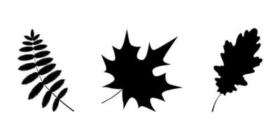 samling av abstrakt svart siluett höstlöv på den vita bakgrunden. enkel vektor stock illustration.