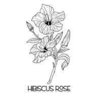hand gezeichneter hibiskusblumenillustrationsvektorentwurf. Mohn, Narzissen, Tulpe, Sonnenblume, Gänseblümchen. hawaiianische Hibiskus-Duftblume oder Malven-Chenese-Rose. vektor