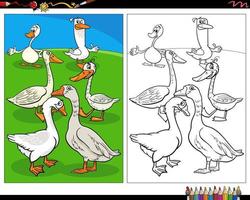 Cartoon Gänse Vögel Nutztier Charaktere Malseite vektor